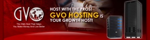 GVO hosting logo and server rack illustrating reliable web hosting solutions.