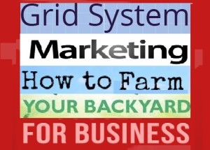Grid System Marketing, How To Farm Your Backyard For Business!