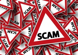work from home scams