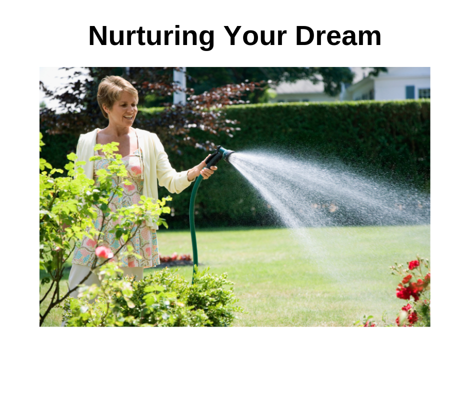 nurturing your dream