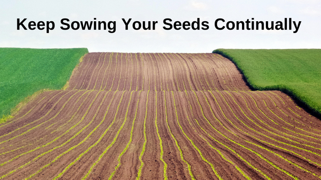 keep sowing your seeds continually